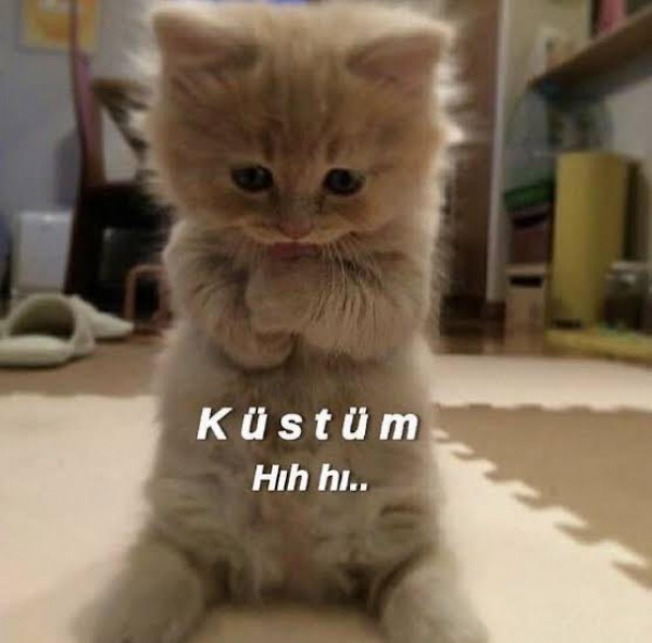 Sessizlik Savaşıdır Küsmek